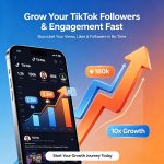 TikTok Follower and View Growth - Image 2