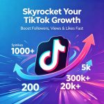 TikTok Follower and View Growth - Image 3