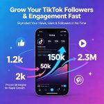 TikTok Follower and View Growth - Image 4