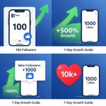 Facebook Follower and View Growth - Image 2