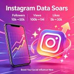 Instagram Follower and View Growth - Image 2