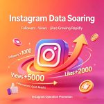 Instagram Follower and View Growth